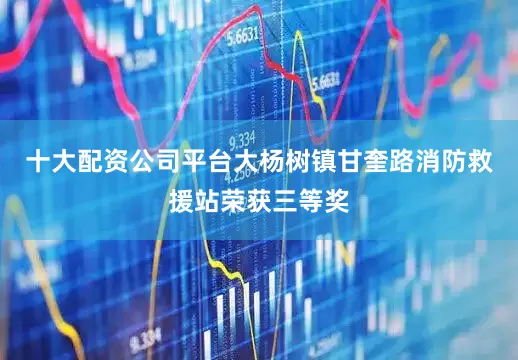 十大配资公司平台大杨树镇甘奎路消防救援站荣获三等奖