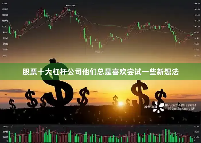 股票十大杠杆公司他们总是喜欢尝试一些新想法