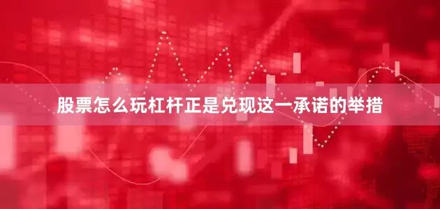 股票怎么玩杠杆正是兑现这一承诺的举措